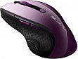 Мышка Canyon CNS-CMSW01P Wireless Purple/Black (CNS-CMSW01P) Мышка Canyon CNS-CMSW01P Wireless Purple/Black (CNS-CMSW01P)