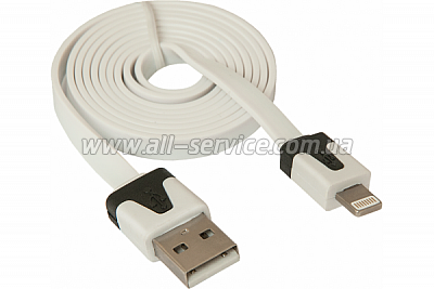  DEFENDER ACH01-03P USB(AM)-Lighting 1m (87472)