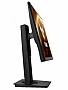  Asus Gaming VG249Q