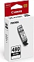 Картридж Canon PGI-480 Canon Pixma TS6140/ TS8140 Black (2077C001) Картридж Canon PGI-480 Canon Pixma TS6140/ TS8140 Black (2077C001)