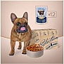     Club 4 Paws Selection         85 (4820215368049)