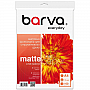  Barva Everyday Matte 105/ A4 100 (IP-AE105-313)