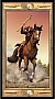 Карти Таро Scarabeo Таро Універсальний ключ (The Pictorial Key Tarot) (EX146UK) Карти Таро Scarabeo Таро Універсальний ключ (The Pictorial Key Tarot) (EX146UK)