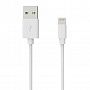   USB 2.0 AM to Lightning 1.0m Cu, 2.1 White Grand-X (PL01W)