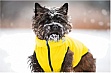  Collar AiryVest 