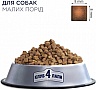     Club 4 Paws     14 (4820083909542)
