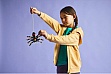  LEGO Creator  :   (31159)