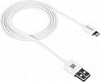 ���� ������ USB 2.0 AM to Lightning 1.0m White Canyon (CNE-CFI1W)