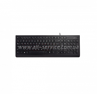  Lenovo 300 USB Keyboard (GX30M39684)
