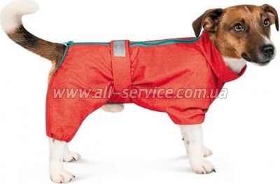  Pet Fashion 