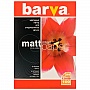  BARVA  (IP-A120-005) 4 100 