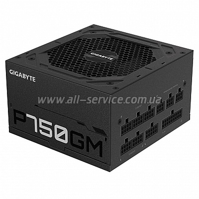   GIGABYTE 750W 80 Gold Pluse Fully modular (P750GM)