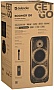 Акустическая система Defender Boomer 130 (65133) Акустическая система Defender Boomer 130 (65133)