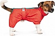  Pet Fashion "RAIN" XS  (4823082425693)