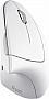 ����� Trust Verto Ergonomic White (25132)