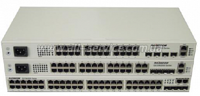  RAISECOM ISCOM2648G-4GE-AC