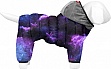    Collar WAUDOG Clothes "NASA21" M47  69-72 ,  41-44  (5447-0148)