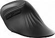 ����� Trust Verro Ergonomic Wireless Black (23507)