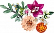 ����������� LEGO Botanicals ����� ������� ����� ������ (10342)