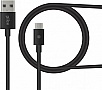 ���� ������ USB 2.0 AM to USB-C 0.2m black Piko (1283126493843)