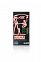  8GB   DDR3 1600Mhz Low Voltage (KCP3L16SD8/8)