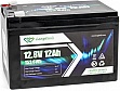 ������� LiFePo4 Longttech 12.8V 12Ah (LAR1212-LT12-R32)