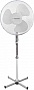  Esperanza EHF001WW