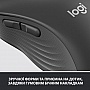  Logitech Signature M650 Wireless Graphite (910-006253)