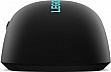  Lenovo Legion M300s RGB USB Black (GY51H47350)