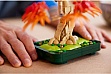 ����������� LEGO Botanicals ������ �� ��������� �������� ����� (10348)