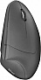 ����� Trust Verto Wireless Ergonomic Black (22879)