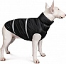  Pet Fashion 