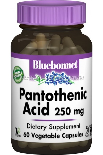  Bluebonnet Nutrition   (B5) 250, 60   (BLB0468)