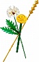 ����������� LEGO Botanicals ������� ����� (30701)