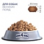     Club 4 Paws     14 (UP) (4820215366298)