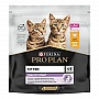     Purina Pro Plan Original Kitten   400  (7613036545099)