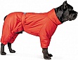  Pet Fashion Cold S  (4823082426072)
