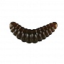  Nomura Honey Worm  () 20 0,35. -053 (night worm) 12 (NM78005302)