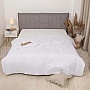 Одеяло Viluta силиконовое стеганое Relax Light 170х205 (kovdra_relax_light_205х170) Одеяло Viluta силиконовое стеганое Relax Light 170х205 (kovdra_relax_light_205х170)