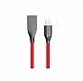  PowerPlant USB - Lightning 1   (CA911400)