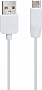 ���� ������ USB 2.0 AM to USB-C 1.0m 3A PVC X1 white HOCO (6957531032045)