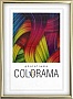  La Colorama LA- 50x70 45 gold