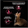     Purina Pro Plan  /      1.5 (7613036732369)