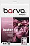 ���������� Barva Everyday half-glossy 260�/� A4 60� (IP-LE260-404)