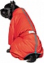  Pet Fashion Cold S  (4823082426072)