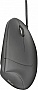 ����� Trust Verto Ergonomic (22885)