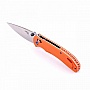  Firebird F753M1-GR