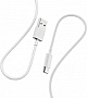 ���� ������ USB 2.0 AM to Micro 5P 1.0m 2.4A white Denmen (D22V-WH)
