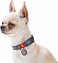  Waudog Re-cotton  QR    25   33-49   (029211)