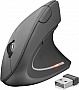 ����� Trust Verto Wireless Ergonomic Black (22879)